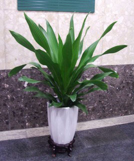 青葉也(yě)門(mén)鐵(tiě)