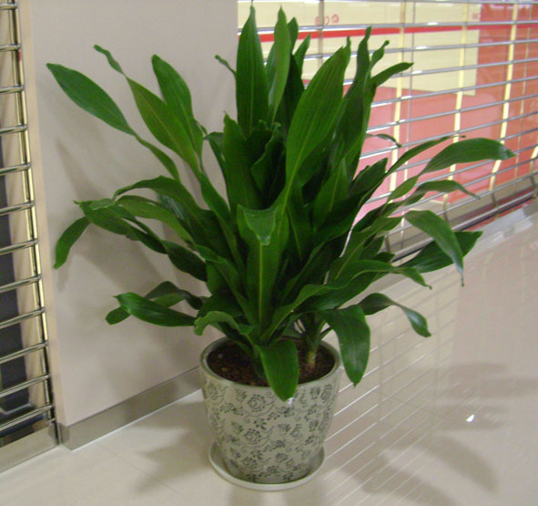 多(duō)頭也(yě)門(mén)鐵(tiě)